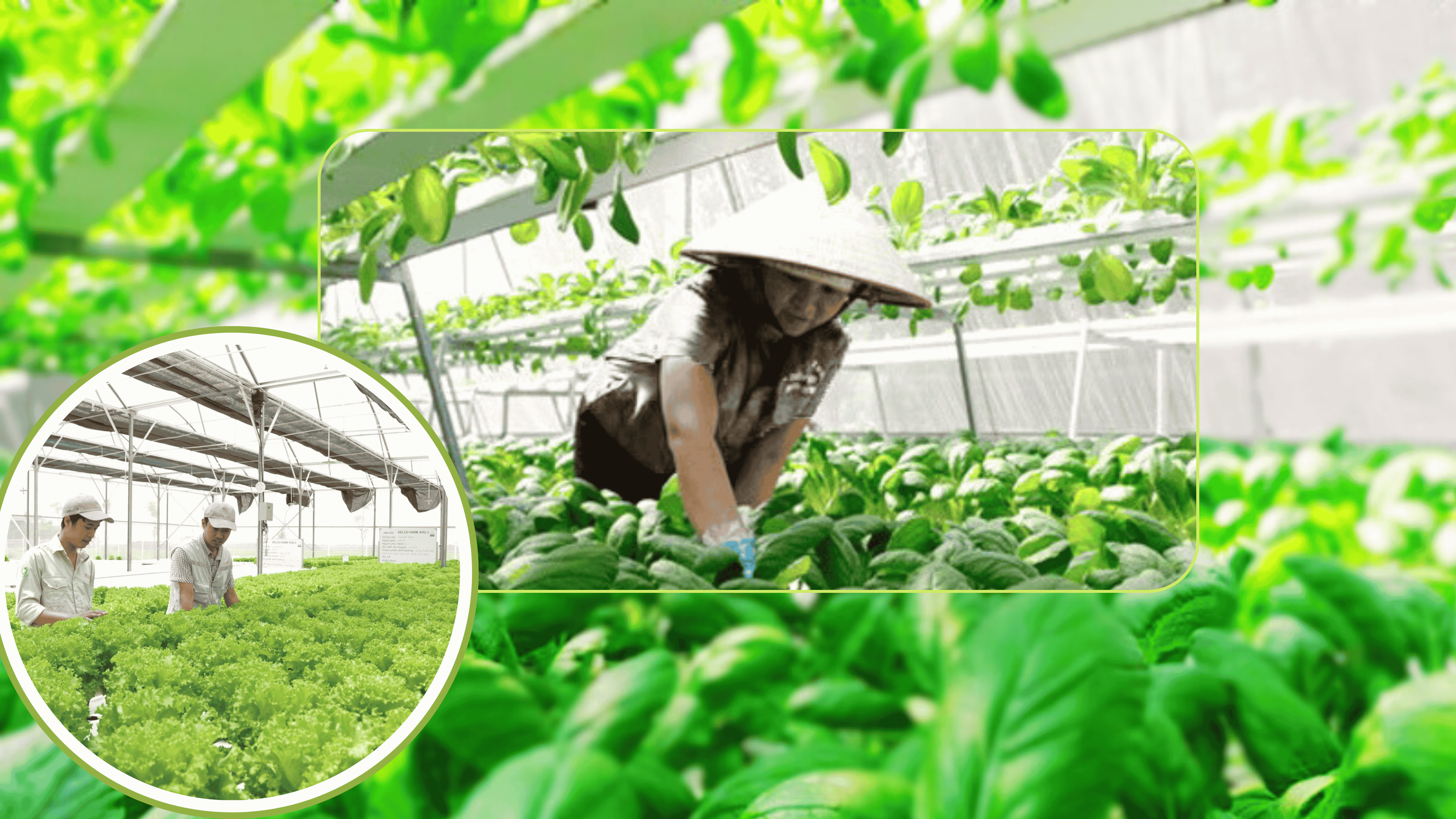 Ưu đãi thuế TNDN thời kỳ mới: Từ Trải thảm địa bàn đến định hình năng lực doanh nghiệp