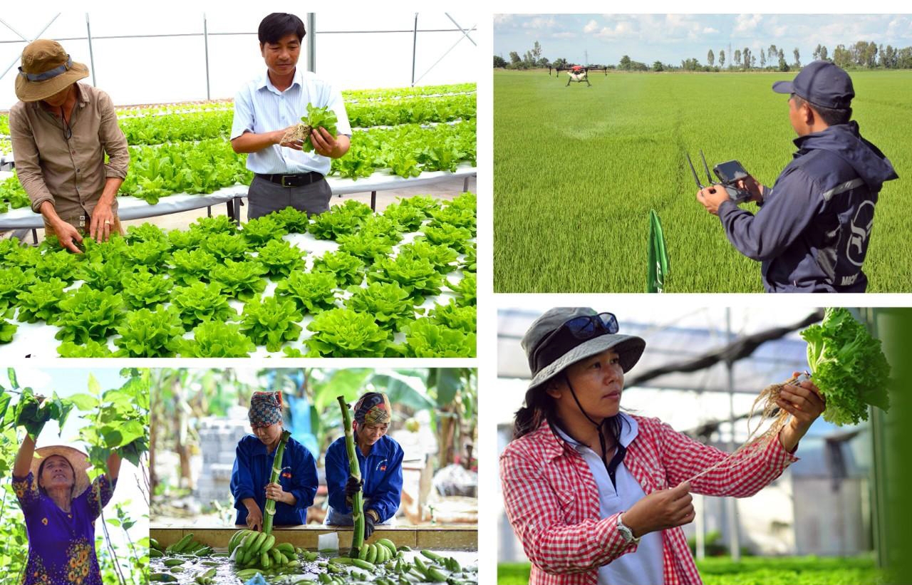 Ưu đãi Thuế TNCN thời kỳ mới: Trải thảm địa bàn đến định hình năng lực doanh nghiệp