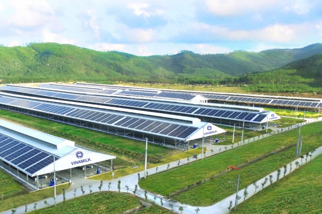 Giao dịch trên sàn carbon: Doanh nghiệp cần lưu ý gì?