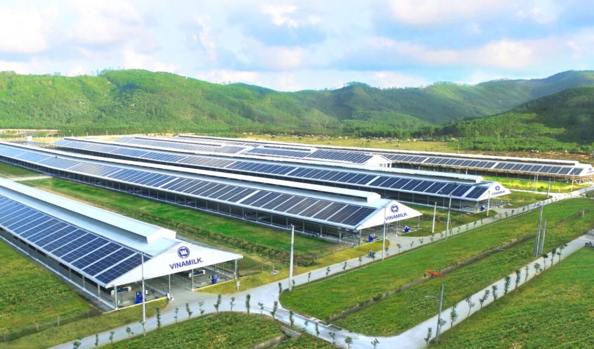 Tài chính xanh mở cơ hội giảm chi phí vốn cho doanh nghiệp