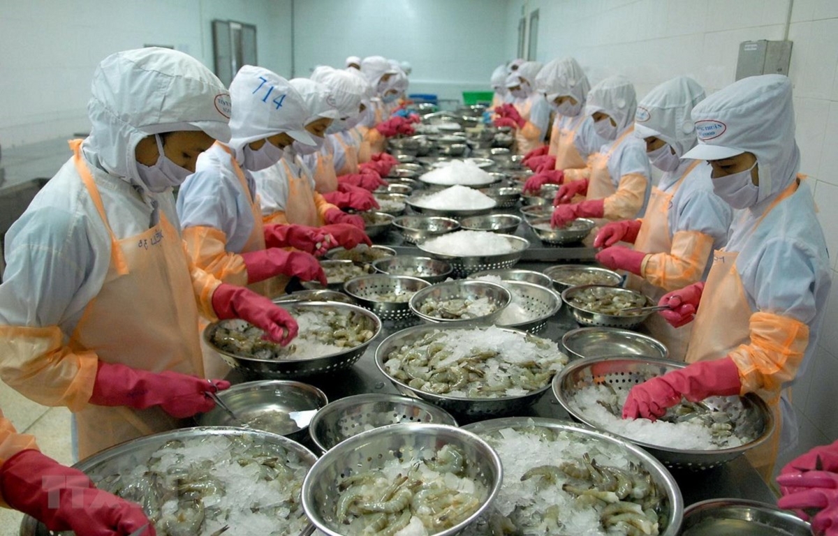 Xuất khẩu tôm Việt Nam đạt 4,6 tỷ USD năm 2025.