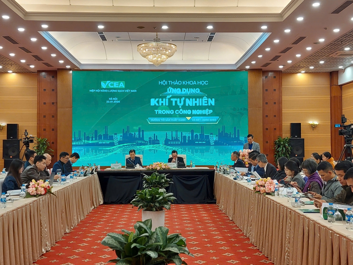 Xây dựng thị trường khí cạnh tranh minh bạch để chuyển đổi năng lượng xanh hiệu quả