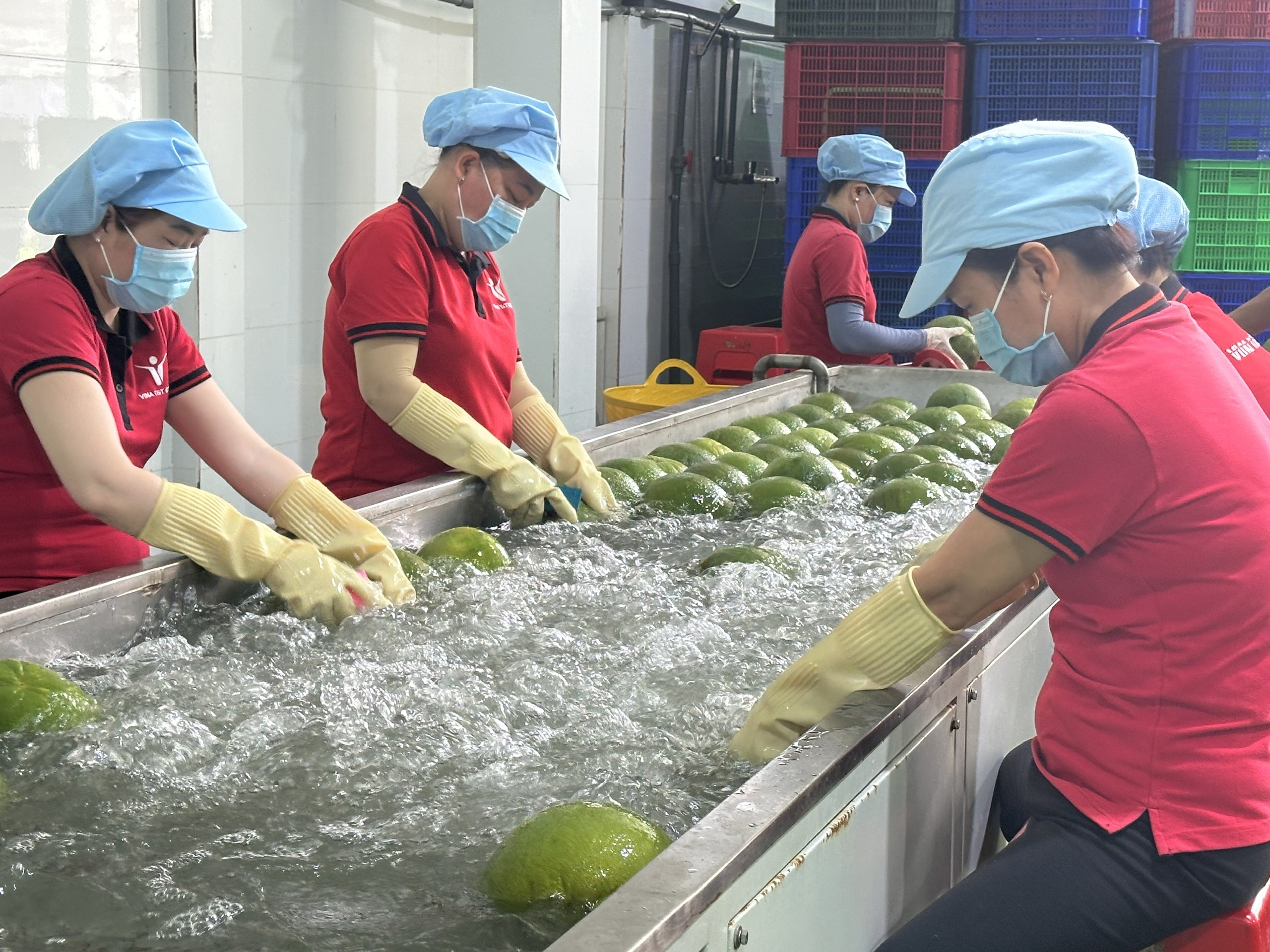 Doanh nghiệp xuất khẩu nông sản đặt mục tiêu tăng trưởng 6-8% năm 2026
