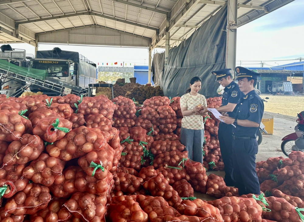 nông sản xuất khẩu nông sản xuất khẩu