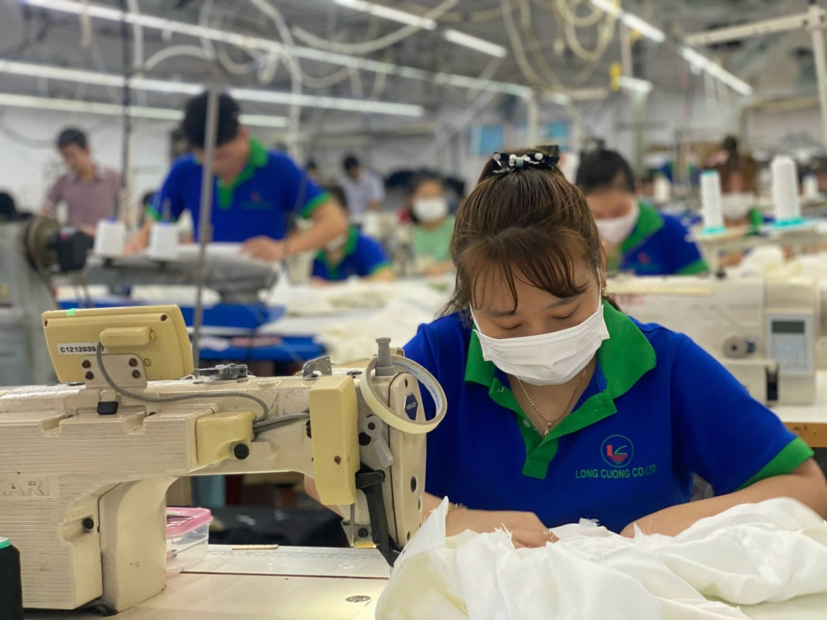 Đóng bảo hiểm xã hội dưới lương thực tế: Rủi ro an sinh 