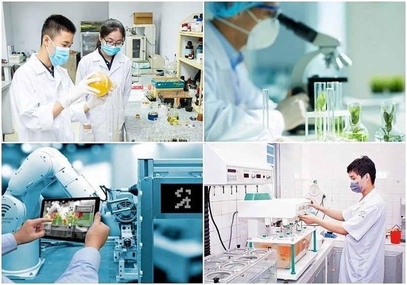 TP. Hồ Chí Minh: Đẩy mạnh thương mại hóa kết quả nghiên cứu và tài sản trí tuệ