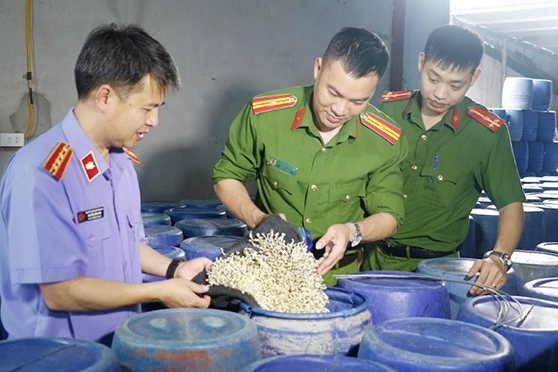 Xử lý hàng nghìn vụ vi phạm về môi trường, an toàn thực phẩm