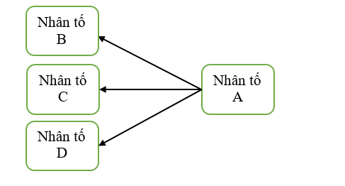 Kiểm định thang đo thực tiễn quản trị nguồn nhân lực tại các doanh nghiệp lữ hành nhỏ và vừa ở TP. Hồ Chí Minh: Mô hình nghiên cứu định lượng sơ bộ Kiểm định thang đo thực tiễn quản trị nguồn nhân lực tại các doanh nghiệp lữ hành nhỏ và vừa ở TP. Hồ Chí Minh: Mô hình nghiên cứu định lượng sơ bộ