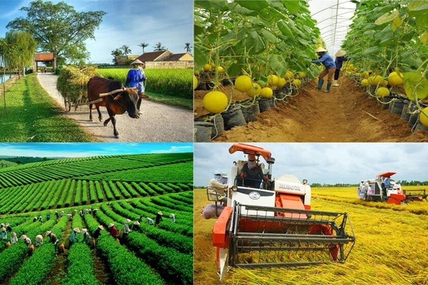Chính sách tài chính phát triển kinh tế tập thể: Kinh nghiệm từ một số nước