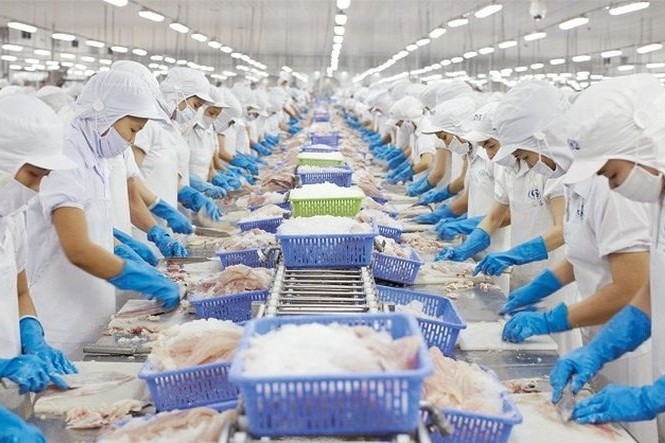 Quy định mới về điều kiện sản xuất thực phẩm bảo vệ sức khỏe