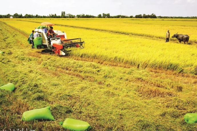 Nông nghiệp chuyển đổi tư duy sản xuất truyền thống sang kinh tế số