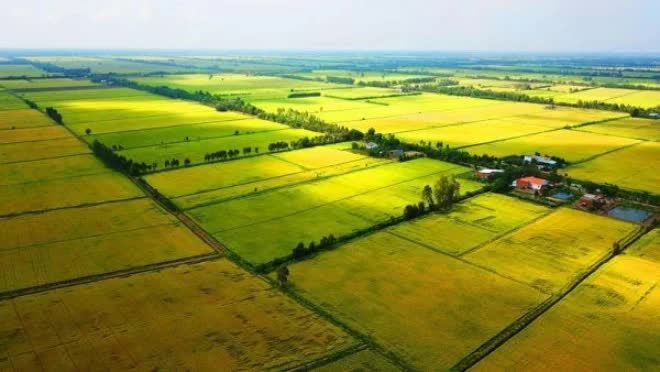 Không tính lại tiền thuê đất đã nộp một lần khi doanh nghiệp tự nguyện trả lại đất