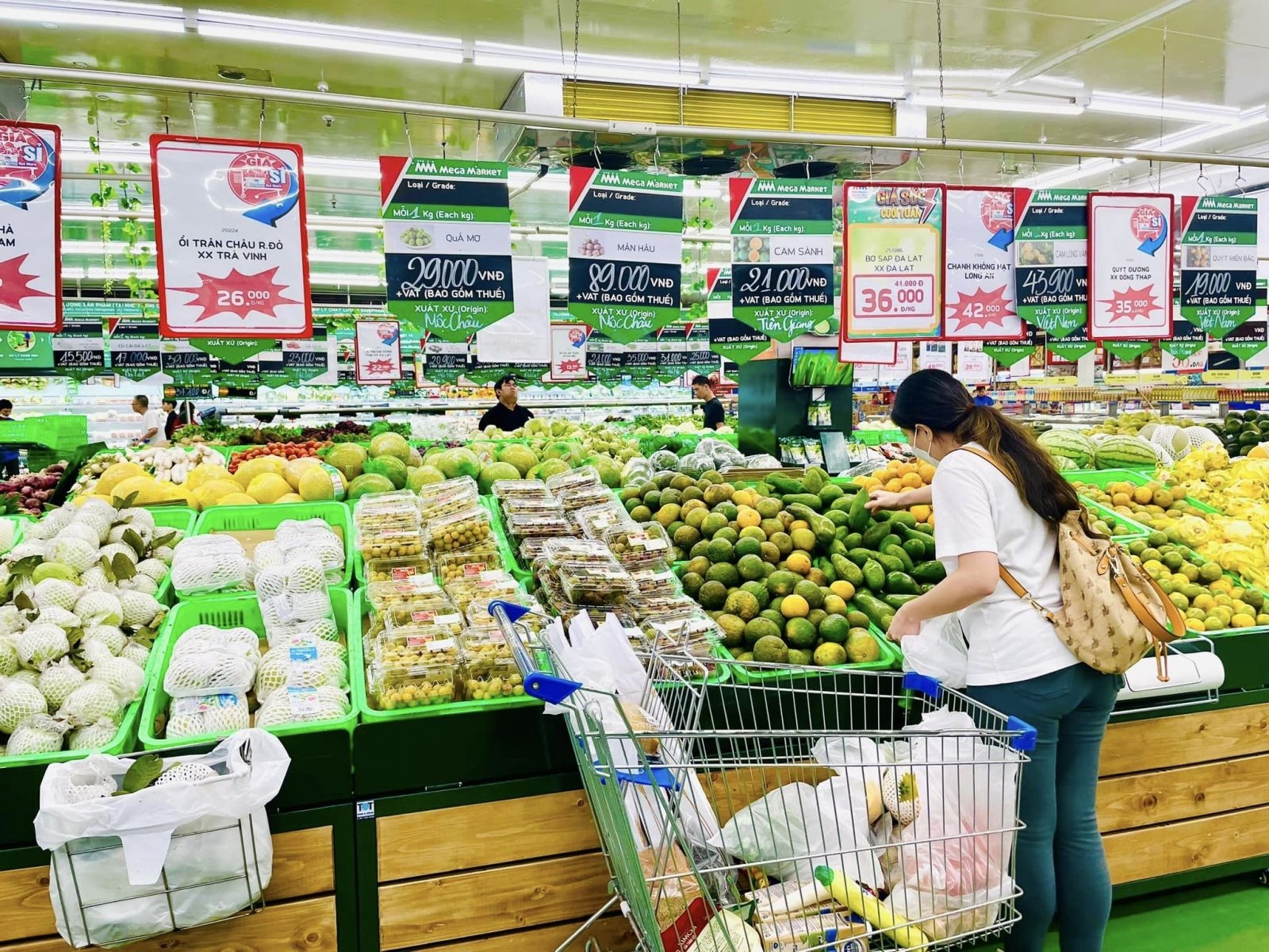 Thị trường bán lẻ Việt Nam sẽ phân hóa bằng quản trị, công nghệ và logistics