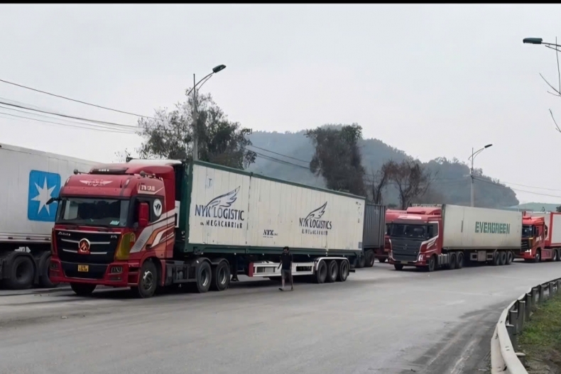 Hải quan bố trí đủ lực lượng ưu tiên thông quan thực phẩm nhập khẩu