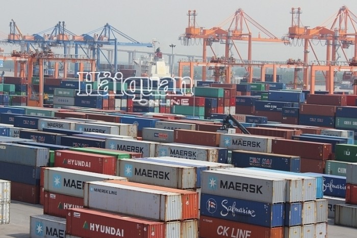 Dữ liệu thống kê xuất khẩu nửa đầu tháng 2/2026