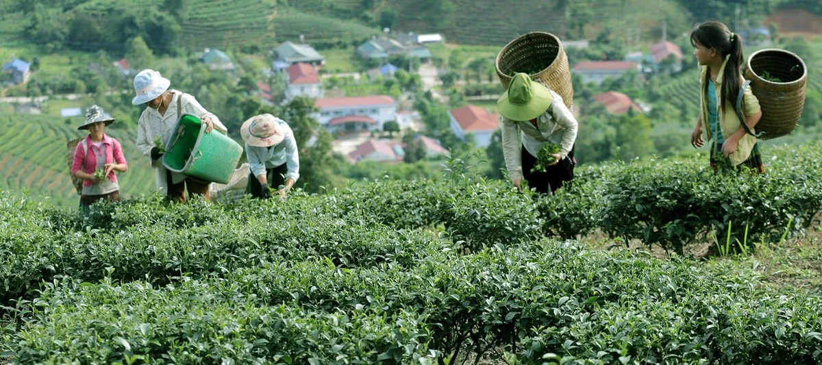 Xây dựng nông thôn mới tỉnh Lai Châu - vượt khó hoàn thành mục tiêu giai đoạn 2021 - 2025 Xây dựng nông thôn mới tỉnh Lai Châu - vượt khó hoàn thành mục tiêu giai đoạn 2021 - 2025