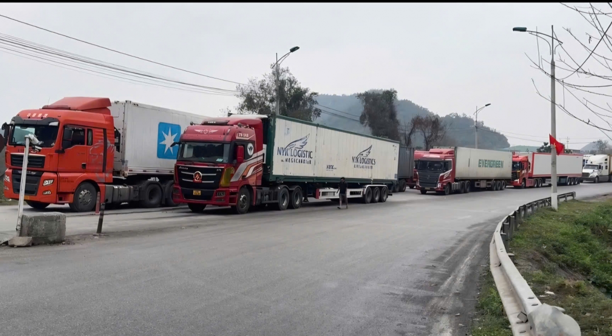 Hải quan bố trí đủ lực lượng ưu tiên thông quan thực phẩm nhập khẩu