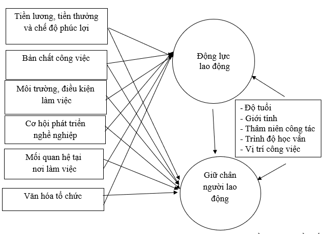 Cơ sở lý luận và mô hình nghiên cứu về giữ chân người lao động