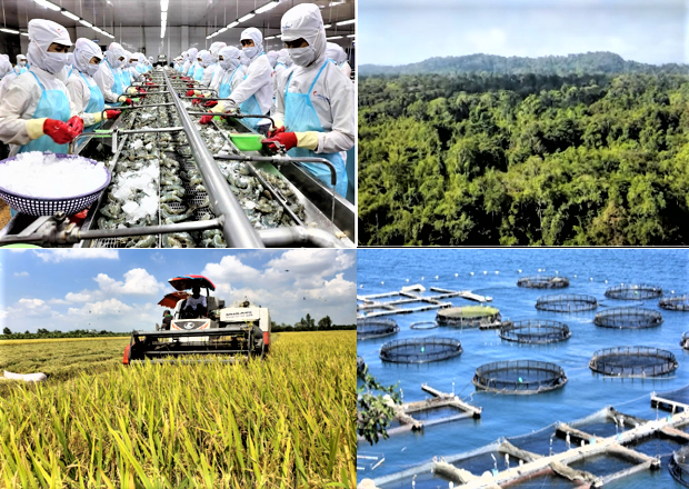 Sản xuất nông, lâm, thủy sản tháng 1/2026 giữ nhịp ổn định, tạo đà tăng trưởng đầu năm Sản xuất nông, lâm, thủy sản tháng 1/2026 giữ nhịp ổn định, tạo đà tăng trưởng đầu năm