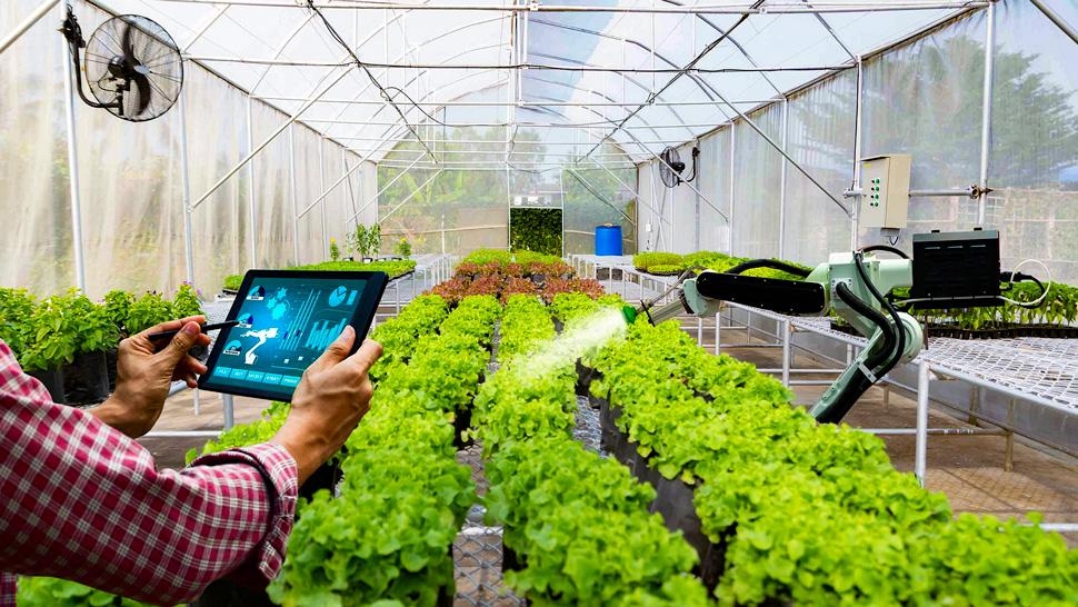 Doanh nghiệp giữ vai trò then chốt trong “chuyển đổi kép” ngành nông nghiệp