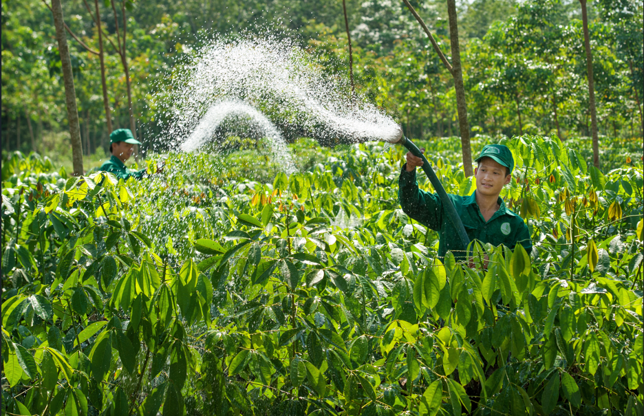 VRG đẩy mạnh đầu tư xanh, phát triển khu công nghiệp xanh – điện sạch
