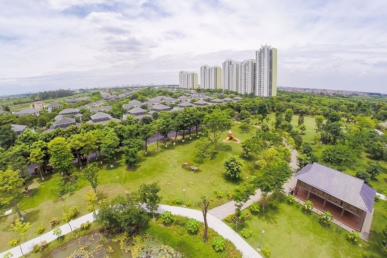 Hạn chế giao đất ven biển, tăng cường đô thị ứng phó với biến đổi khí hậu Hạn chế giao đất ven biển, tăng cường đô thị ứng phó với biến đổi khí hậu