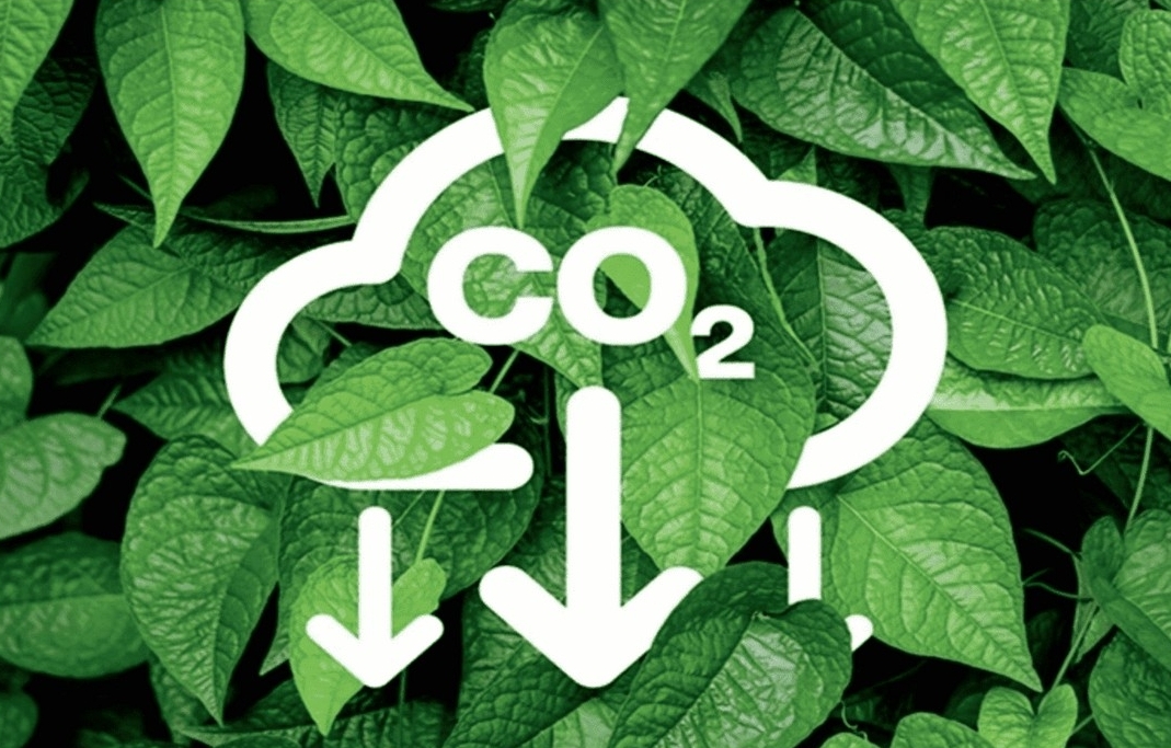 Thí điểm sàn giao dịch carbon -  bước ngoặt thị trường hóa phát thải tại Việt Nam