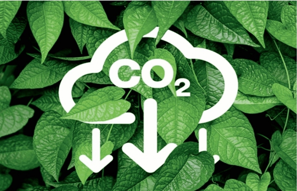 Thí điểm sàn giao dịch carbon -  bước ngoặt thị trường hóa phát thải tại Việt Nam