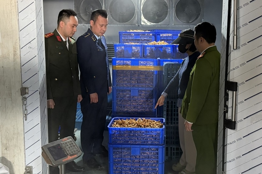 Cao điểm tết Bính Ngọ 2026: Phát hiện, tiêu hủy hàng tấn thực phẩm vi phạm