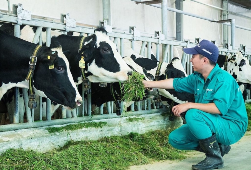 Nâng tầm vị thế ngành sữa Việt Nam trong chuỗi giá trị toàn cầu