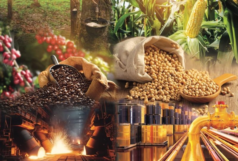 Hoàn thiện khung pháp lý Giao dịch hàng hóa phái sinh