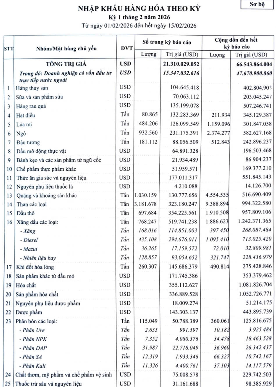 Dữ liệu thống kê nhập khẩu hàng hóa nửa đầu tháng 2/2026