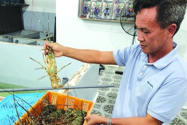 Trung Quốc nhập khẩu hơn 744 triệu USD thủy sản cao cấp từ Việt Nam
