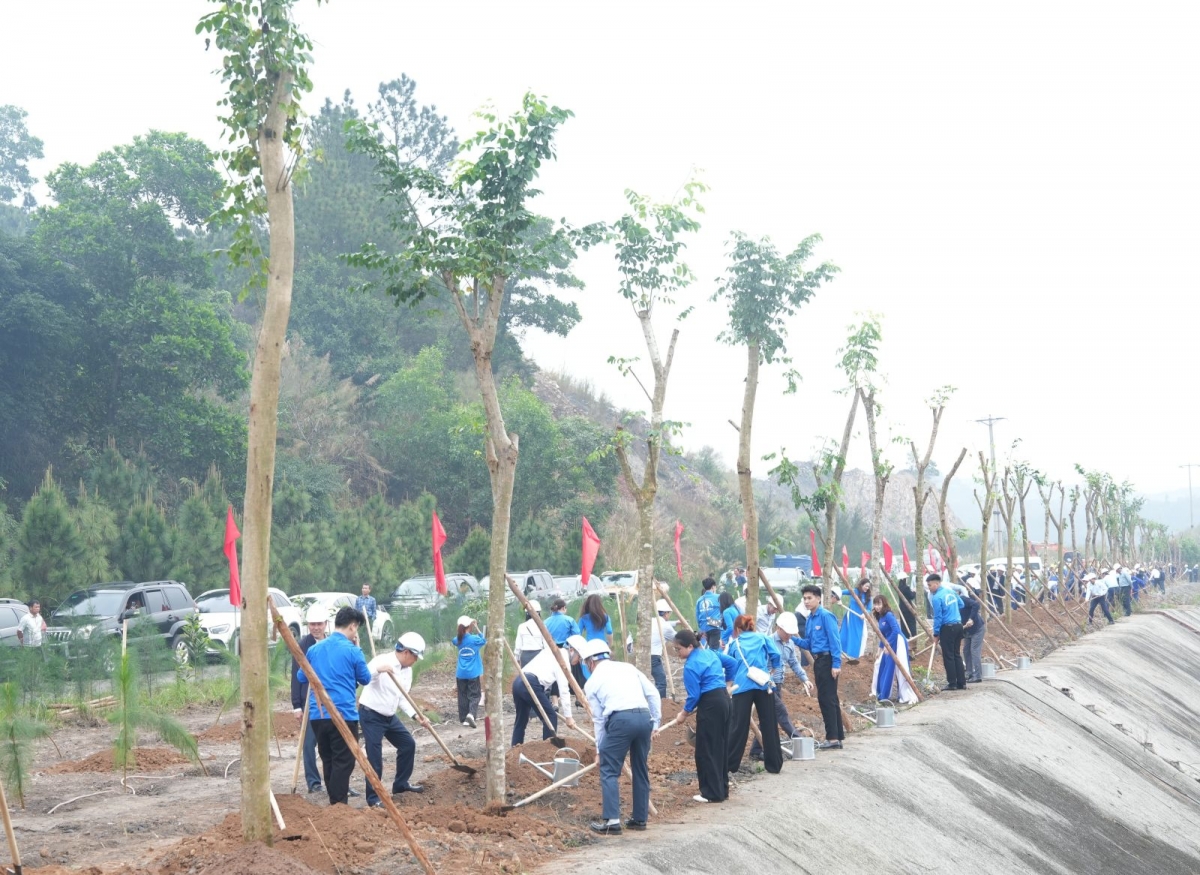 TKV phát động “Tết trồng cây đời đời nhớ ơn Bác Hồ” Xuân Bính Ngọ 2026 TKV phát động “Tết trồng cây đời đời nhớ ơn Bác Hồ” Xuân Bính Ngọ 2026