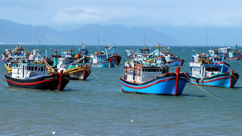 Tập trung chuẩn bị làm việc với Đoàn Thanh tra của EC, quyết tâm gỡ cảnh báo “thẻ vàng” IUU.