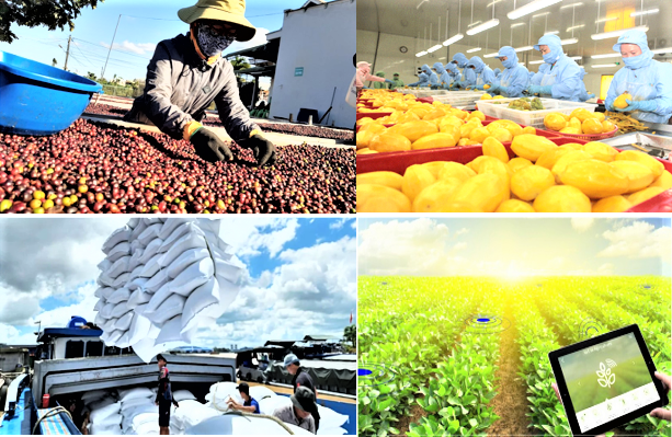 Xuất khẩu nông lâm thủy sản phục hồi mạnh mẽ, hướng tới mục tiêu 74 tỷ USD năm 2026 Xuất khẩu nông lâm thủy sản phục hồi mạnh mẽ, hướng tới mục tiêu 74 tỷ USD năm 2026