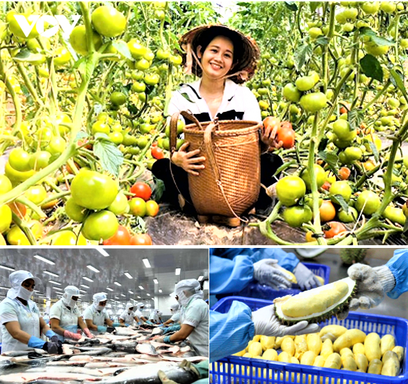 Thúc đẩy mở cửa thị trường các mặt hàng nông thủy sản có thế mạnh Thúc đẩy mở cửa thị trường các mặt hàng nông thủy sản có thế mạnh