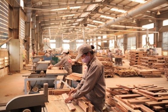 Ngành gỗ cần chuyển mạnh từ gia công sang thiết kế