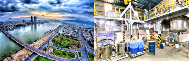 Số doanh nghiệp thành lập mới tại Đà Nẵng tăng mạnh đầu năm 2026 Số doanh nghiệp thành lập mới tại Đà Nẵng tăng mạnh đầu năm 2026