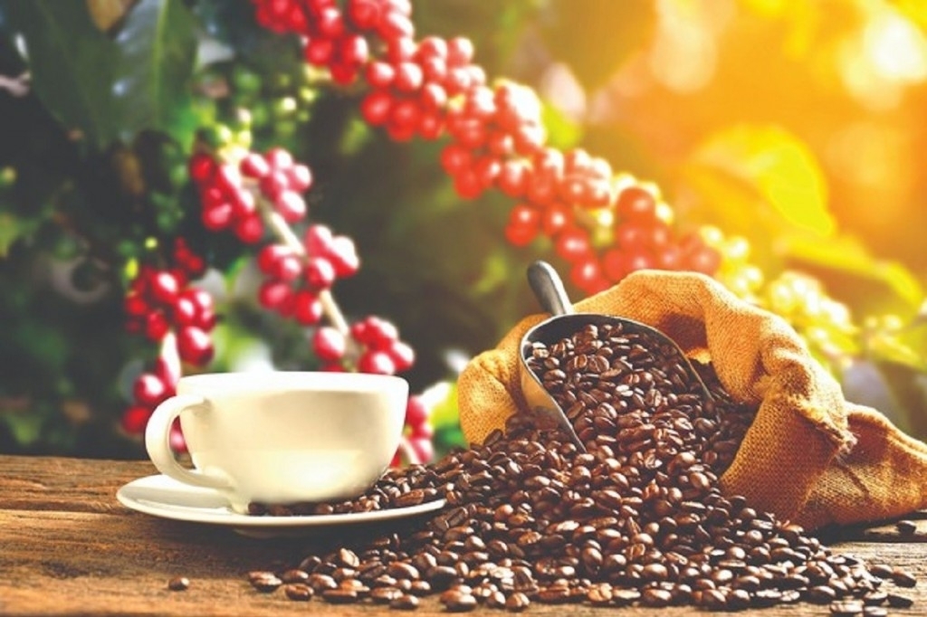 Xuất khẩu nông sản duy trì đà tăng