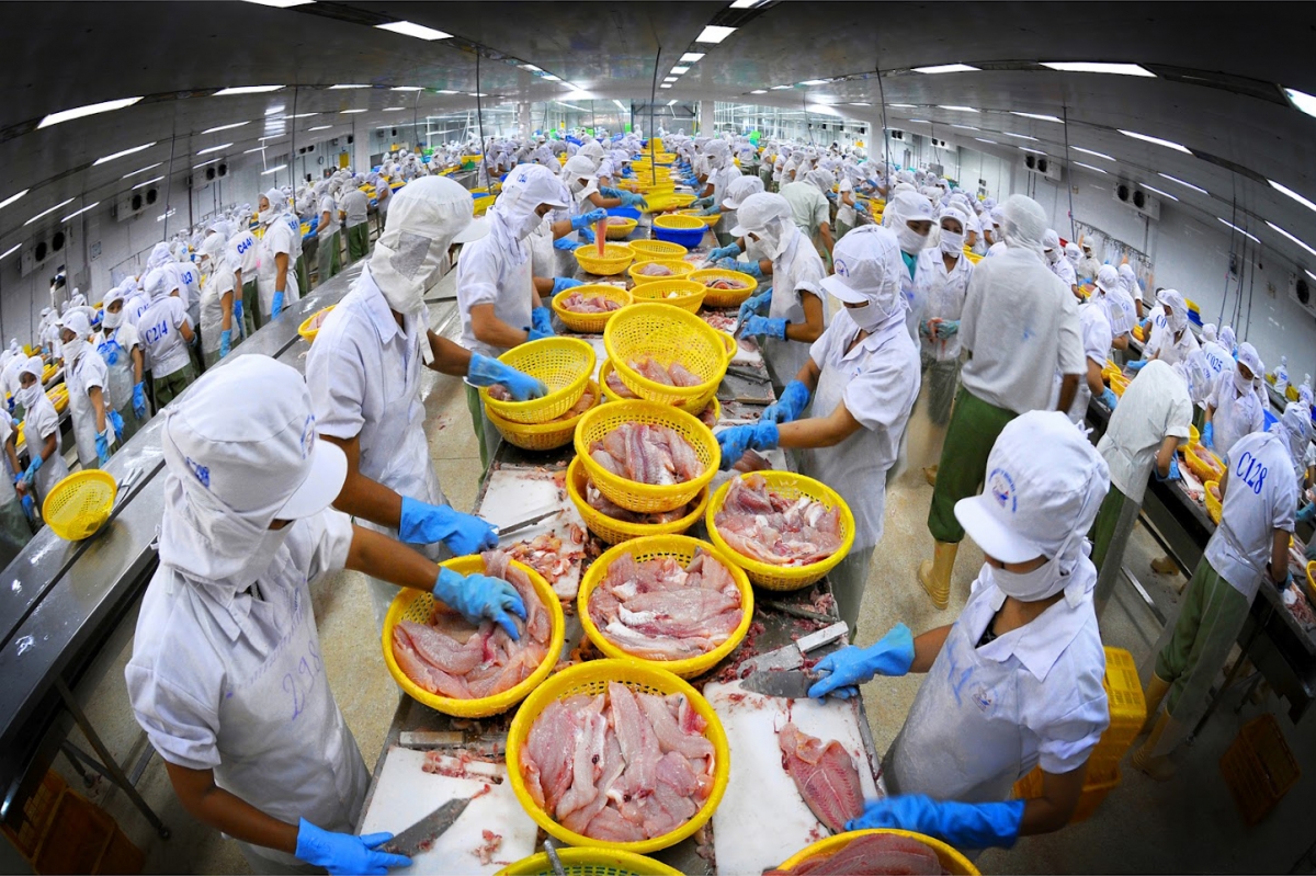 xuất khẩu thủy sản của Việt Nam trong tháng 2/2026 đạt khoảng 707 triệu USD, tăng 8% so với cùng kỳ năm trước. 