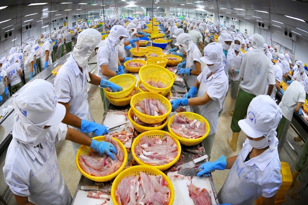 Xuất khẩu thủy sản tháng 2 tăng 8% so với cùng kỳ
