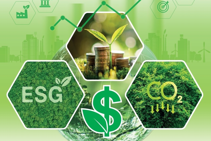 Vai trò của nhà nước trong định hướng, giám sát và điều tiết thị trường carbon