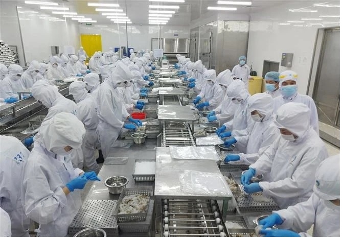 CEPA mở rộng cơ hội xuất khẩu cho hàng hóa Việt Nam vào UAE