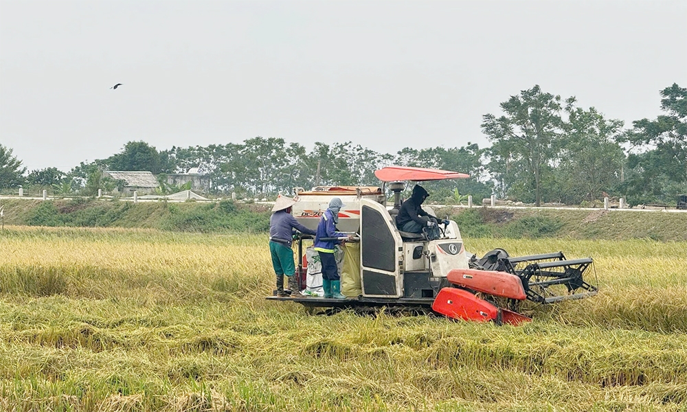 Giúp người nông dân hiểu và tích cực tham gia BHXH tự nguyện, BHYT được coi là một trong những nhiệm vụ nan giải.