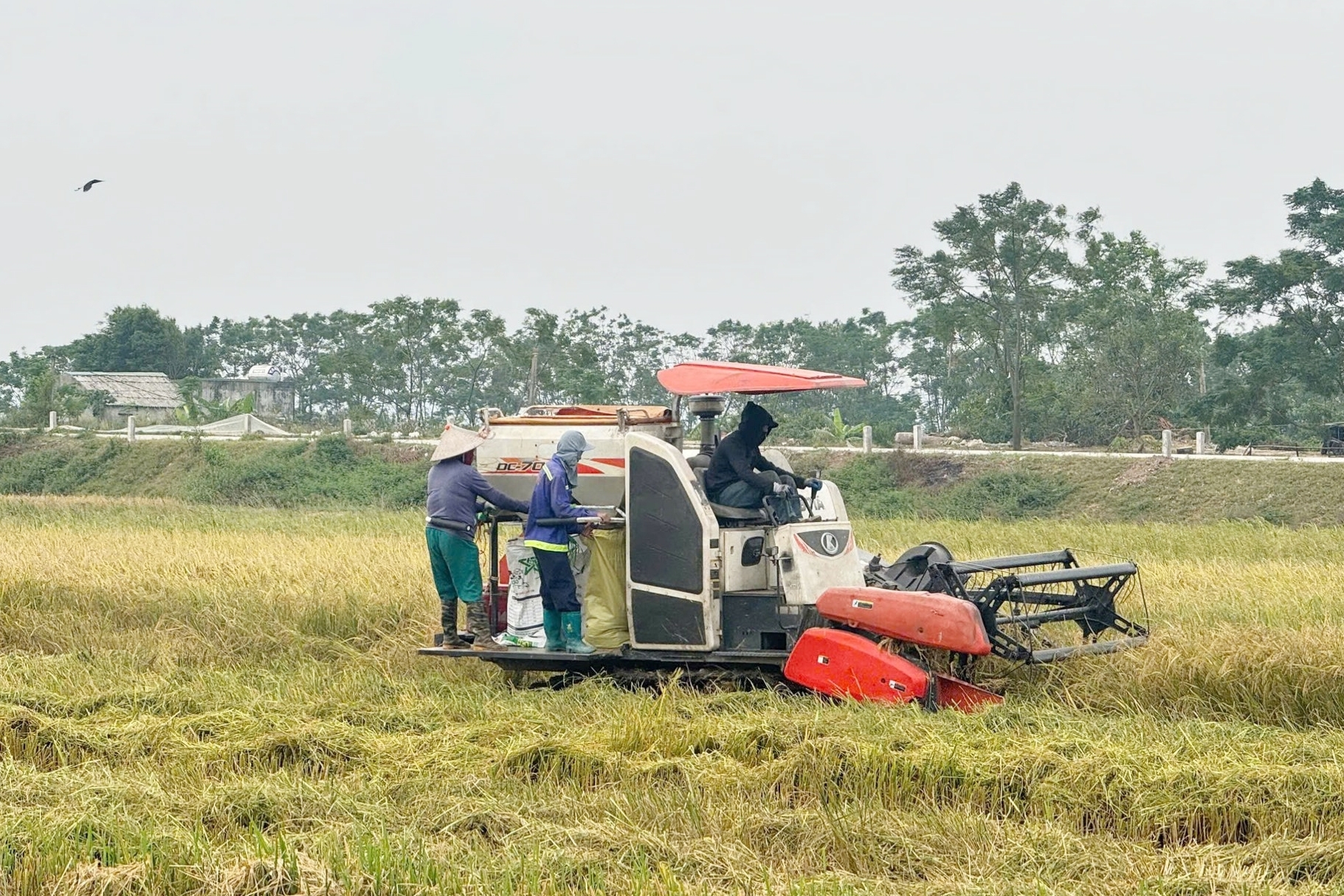Gỡ bỏ tư duy “ăn xổi”, đưa người nông dân vào lưới an sinh bền vững