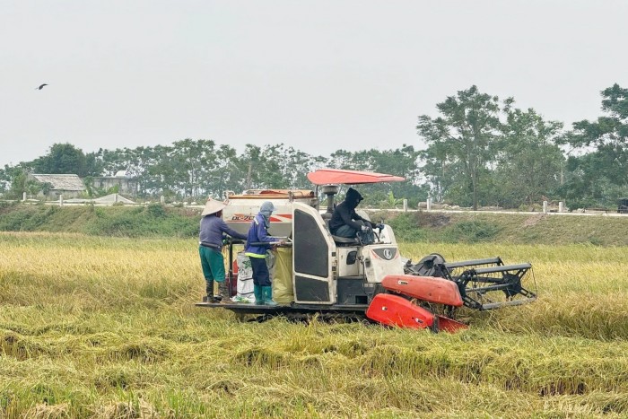 Gỡ bỏ tư duy “ăn xổi”, đưa người nông dân vào lưới an sinh bền vững