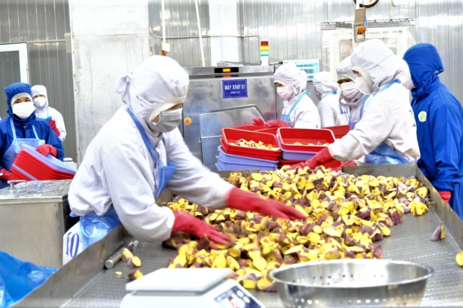 Kinh tế Lâm Đồng tăng trưởng tích cực, hướng tới mục tiêu tăng trưởng 2 con số
