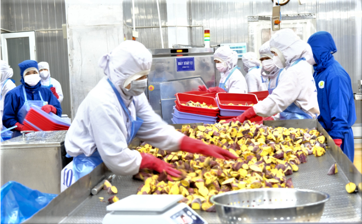 Kinh tế Lâm Đồng tăng trưởng tích cực, hướng tới mục tiêu tăng trưởng 2 con số Kinh tế Lâm Đồng tăng trưởng tích cực, hướng tới mục tiêu tăng trưởng 2 con số