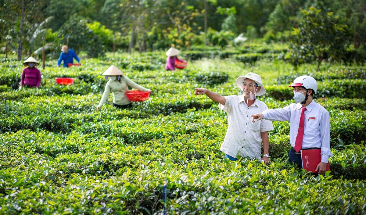 Agribank dẫn dòng vốn vào dự án trọng điểm, giữ nhịp tín dụng an toàn